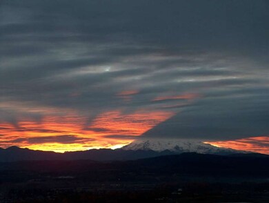 13613 164th Street Ct E, Puyallup, WA 98374 - photo 6