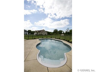 Pool In Ground