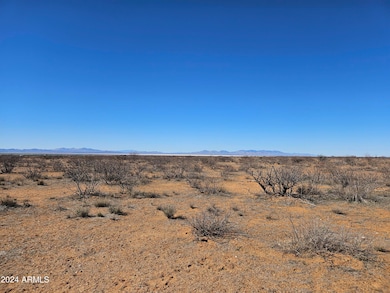 LOT 169 Chiricahua Trail Ranches Pione -- unit 169, Willcox, AZ 85643 - photo 4