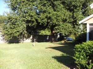 Large backyard