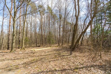 Onondaga_Rd_VACANT_BROCK-2