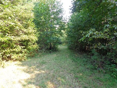 Additional View