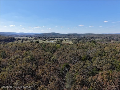 TBD Rural Property, Leflore, OK 74942 - photo 7