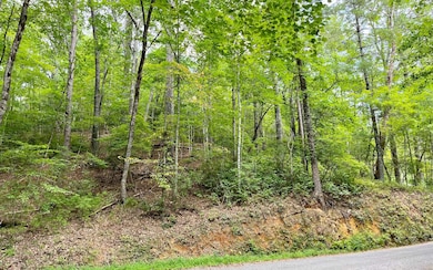 Additional View