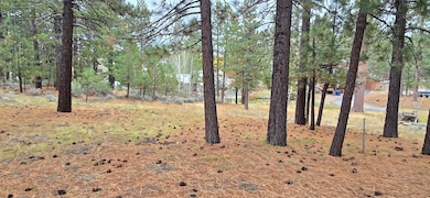 39731 Lakeview Dr, Big Bear Lake, CA 92315 - photo 5