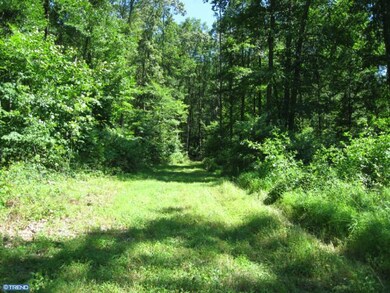 151 Sousley Rd, Lenhartsville, PA 19534 - photo 6