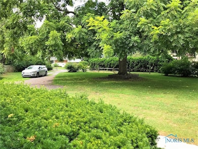 Front Yard ad Drive - beautiful honey locust tree