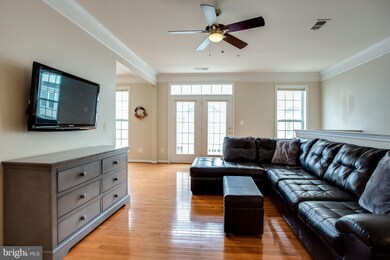 41939 Blue Flag Terrace, Stone Ridge, VA 20105 - photo 5