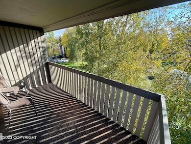 Huge Balcony Looking Southeast