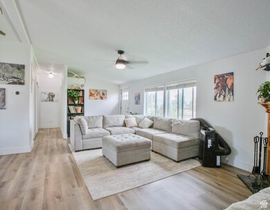 Living room with a ceiling fan, light wood-type flooring, and a textured ceiling