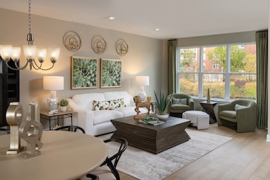 1179 Shermer Rd, Northbrook, IL 60062 - photo 6