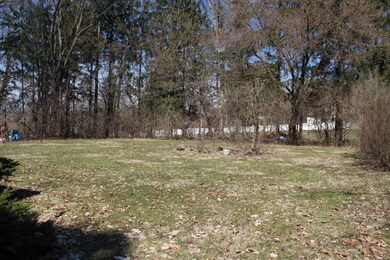 IMG_2049