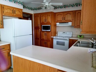 Kitchen (main level)