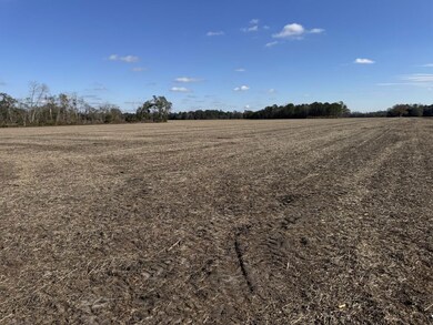 Tbd Shelley Road Coventry Rd, Nichols, SC 29581 - photo 5