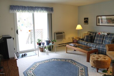 Bright Living Room