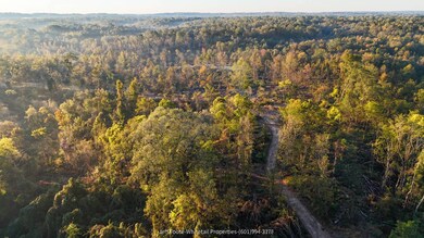 TBD Rodney Rd, Port Gibson, MS 39150 - photo 6