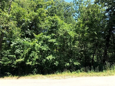 9 Marlin Ln, Bella Vista, AR 72715 - photo 3