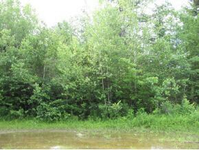 LOT 49 Forest View Dr, Effingham, NH 03882 - photo 2