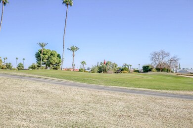 10344 W Cameo Dr Sun City AZ 85351 X-24