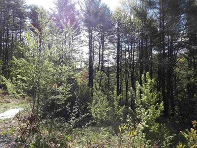 86 Alice Smith Rd, Walpole, NH 03608 - photo 7