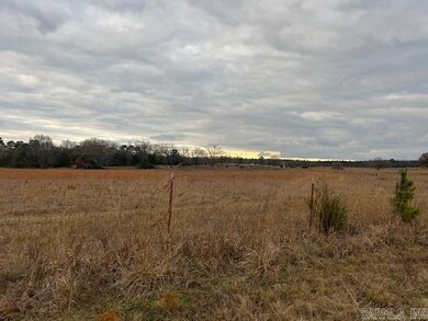 80 Spires Rd, Damascus, AR 72039 - photo 6