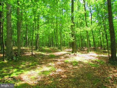 17 Rock Slide Way, Romney, WV 26757 - photo 6