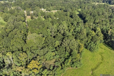 tbd Port Hudson Pride Rd, Pride, LA 70770 - photo 3