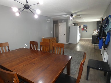 540 Locust St, Sutherland, NE 69165 - photo 5