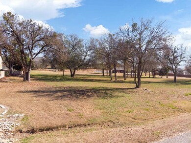1405 Lady Amber Ln, Granbury, TX 76049 - photo 6