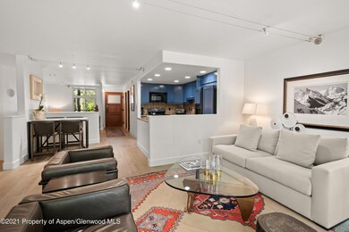 800 E Hopkins Ave unit A4, Aspen, CO 81611 - photo 5