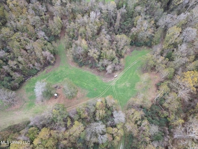 14937 Highway 24 W, Woodville, MS 39669 - photo 2