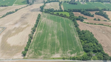 -- Holcomb Rd, Ripley, TN 38063 - photo 3