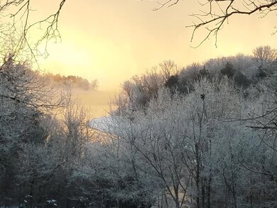 44 Redbud Ridge Ln, Kimberling City, MO 65686 - photo 3