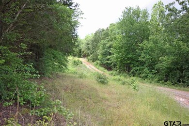 16931 County Road 2203, Arp, TX 75750 - photo 7