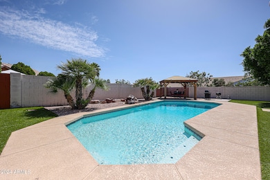 Diving Pool (1)