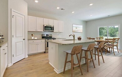 420 American Goldfinch Way, Moncks Corner, SC 29461 - photo 6