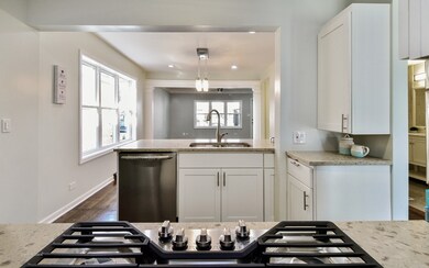 6133 S Parkside Ave, Chicago, IL 60638 - photo 5