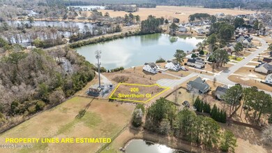 206 Silverthorn Ct, New Bern, NC 28560 - photo 3