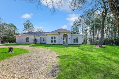 32010 Park Meadow Pass, Magnolia, TX 77355 - photo 5