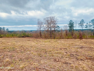 0 Saint Anne Rd, Carthage, MS 39051 - photo 3