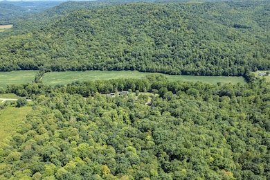 4655 Grassy Fork Rd, Peebles, OH 45660 - photo 4