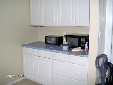 340 Washington St, Otsego, MI 49078 - photo 4