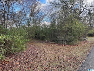 0 Francis St, Anniston, AL 36206 - photo 2