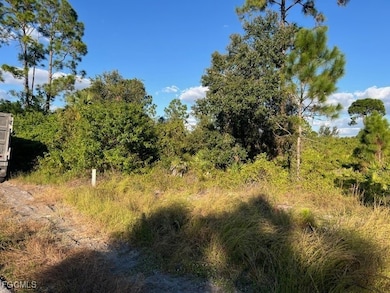 711 Da Vinci Ave S, Lehigh Acres, FL 33974 - photo 2