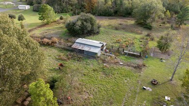 IMG_1518