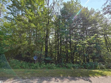 1617 Springdale, Lakes of the North, MI 49730 - photo 3