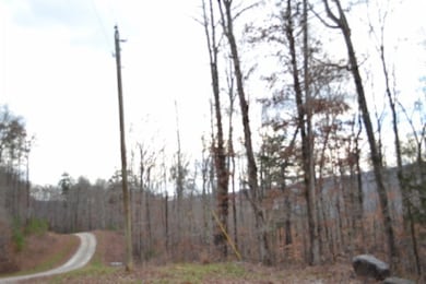 Lot 75 Tomahawk Rd, Jamestown, TN 38556 - photo 5