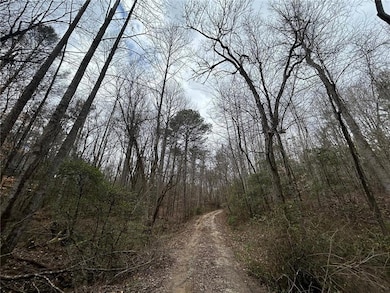 View of road