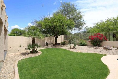 Grass Area