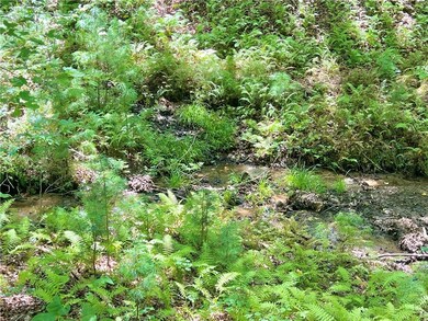 62 Peach Ln, Ellijay, GA 30536 - photo 2